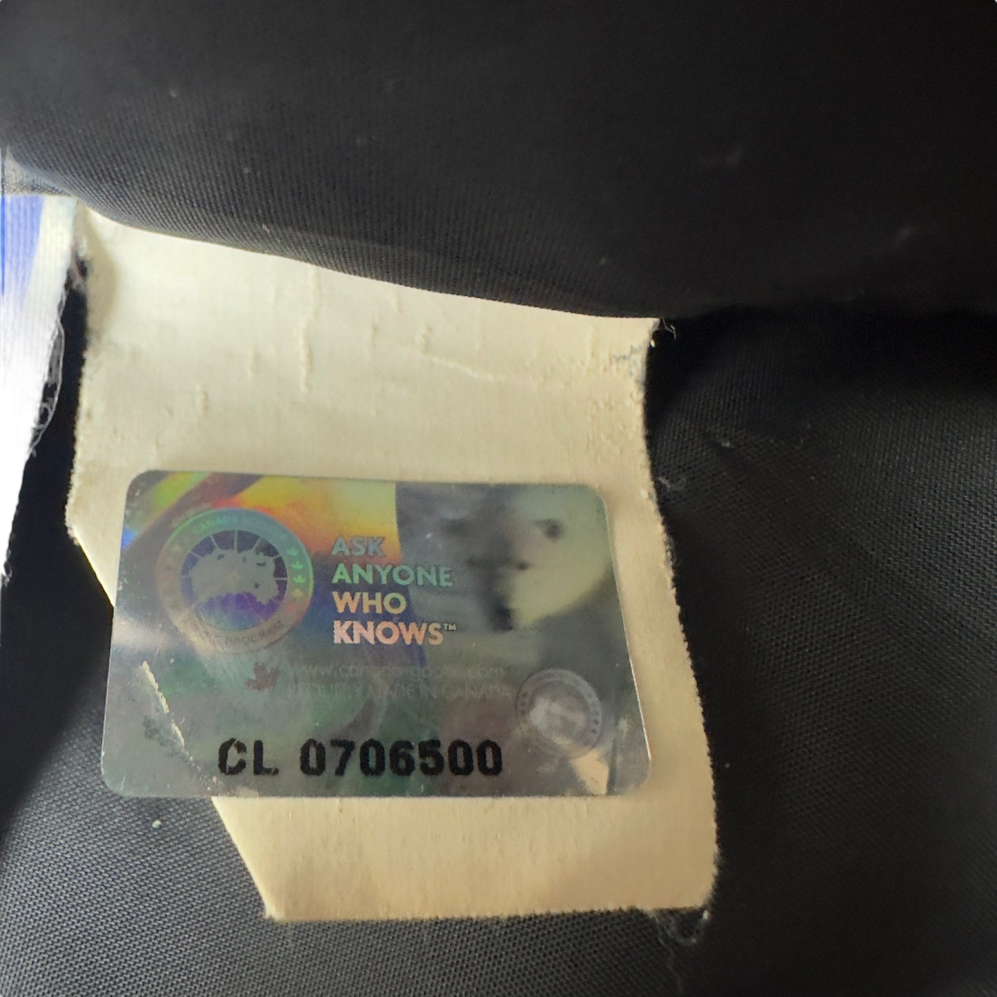 Canada Goose Banff Down Fur Parka